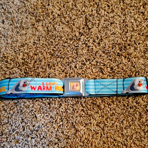 Belt - Picture 1 of 2
